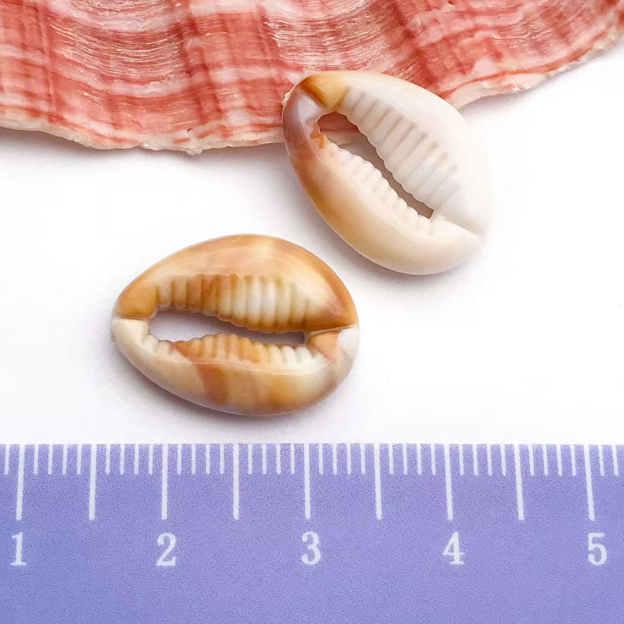 22Types,Acrylic imitation shell ,conch, starfish, pendant set