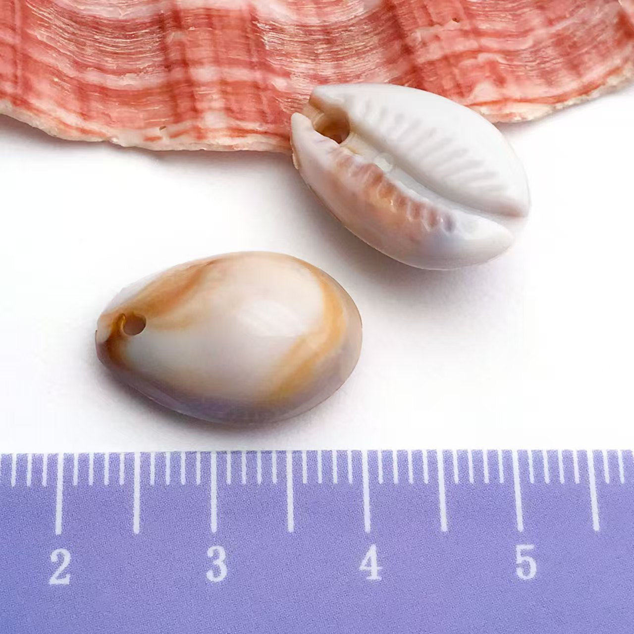 22Types,Acrylic imitation shell ,conch, starfish, pendant set