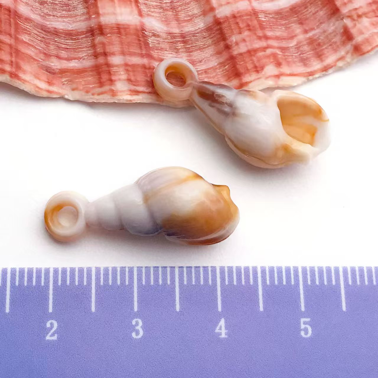 22Types,Acrylic imitation shell ,conch, starfish, pendant set