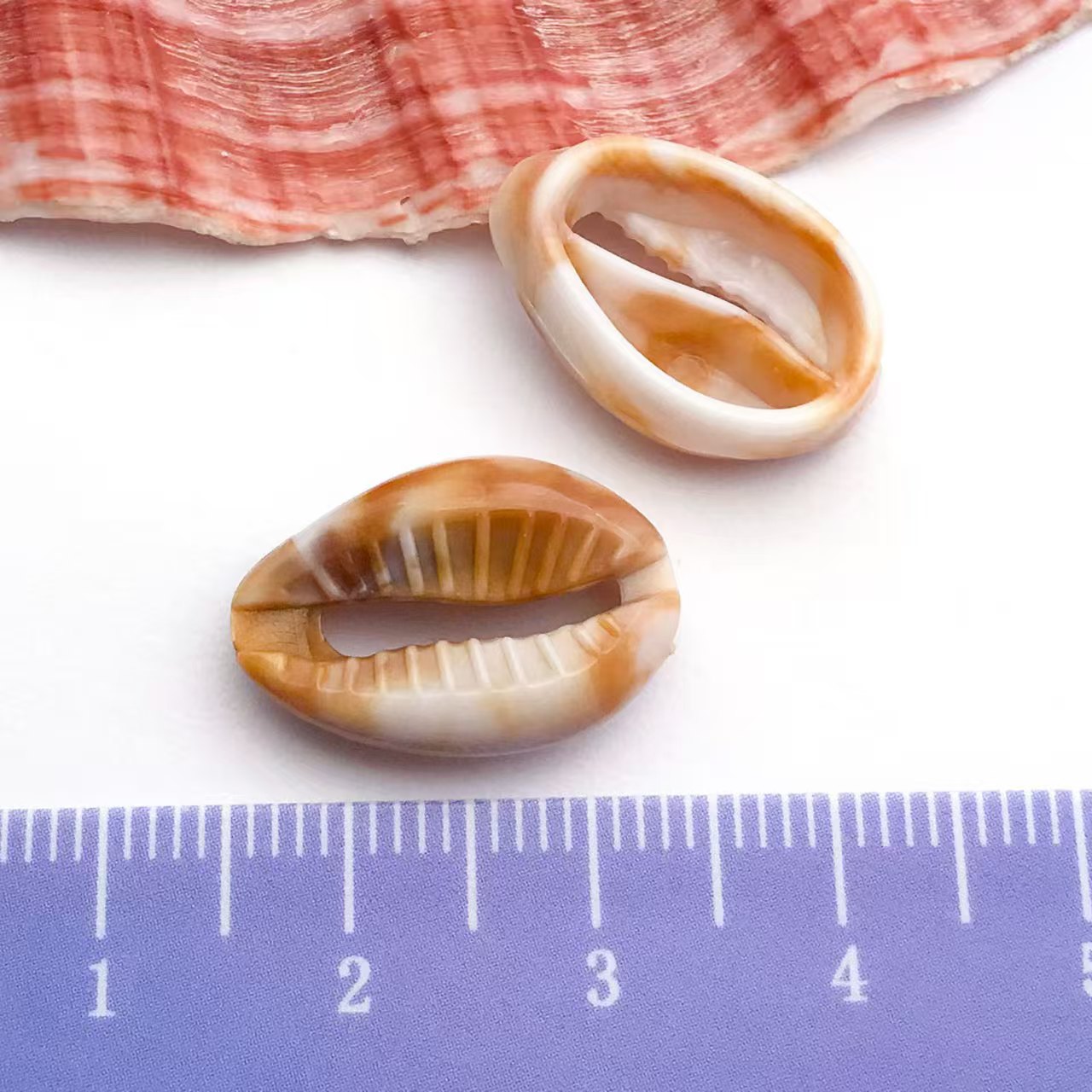 22Types,Acrylic imitation shell ,conch, starfish, pendant set