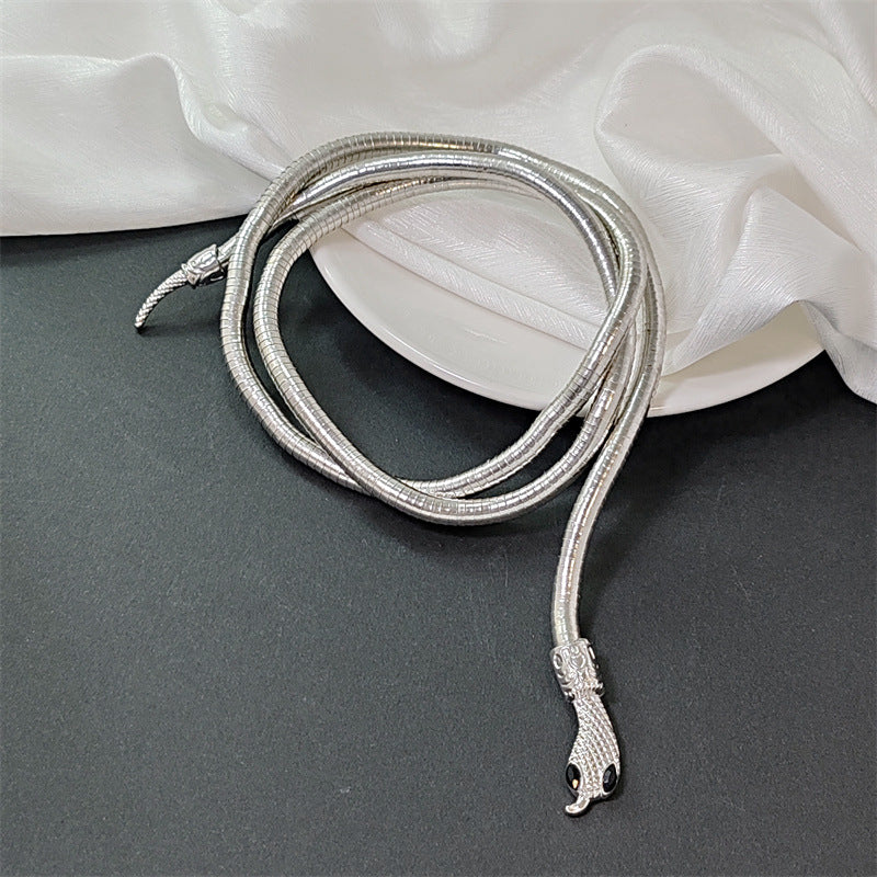 2-Color Serpentine Necklace Winding, Collarbone Chain Accessories