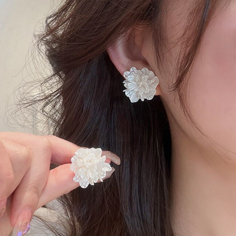 E15,925 Silver Needle Earrings  A