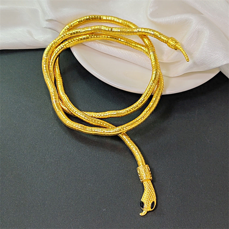 2-Color Serpentine Necklace Winding, Collarbone Chain Accessories