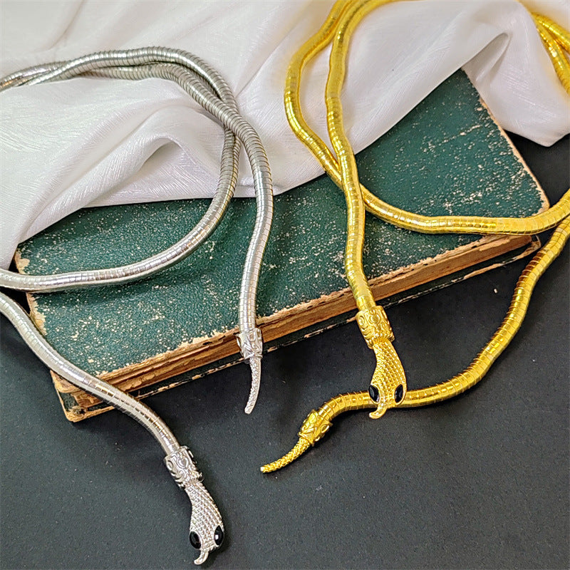 2-Color Serpentine Necklace Winding, Collarbone Chain Accessories