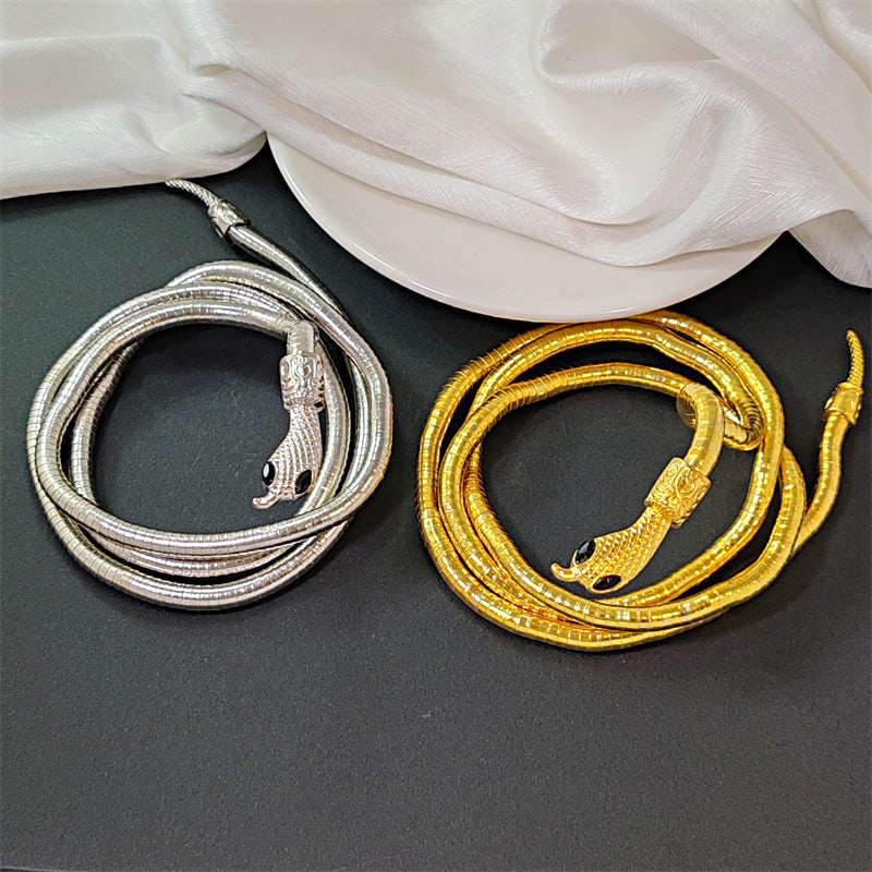 2-Color Serpentine Necklace Winding, Collarbone Chain Accessories