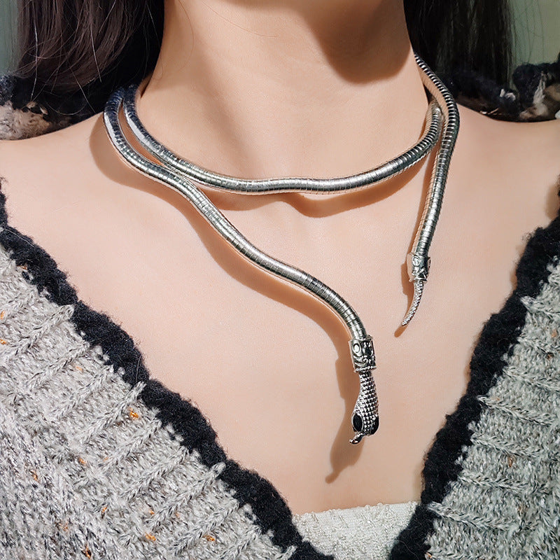 2-Color Serpentine Necklace Winding, Collarbone Chain Accessories